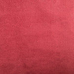Echo Ruby - What A Room