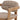 Jovita Outdoor Dining Chair - What A Room