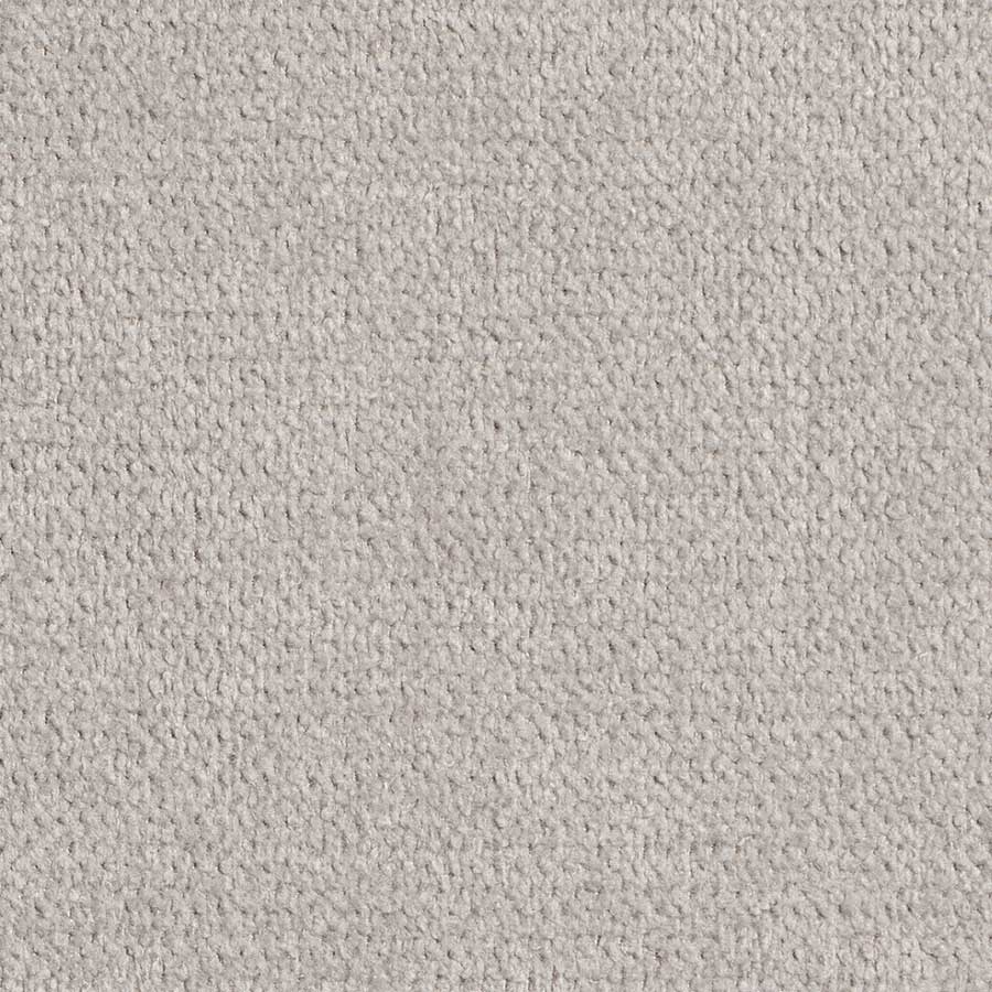 Dynamite Dove - What A Room