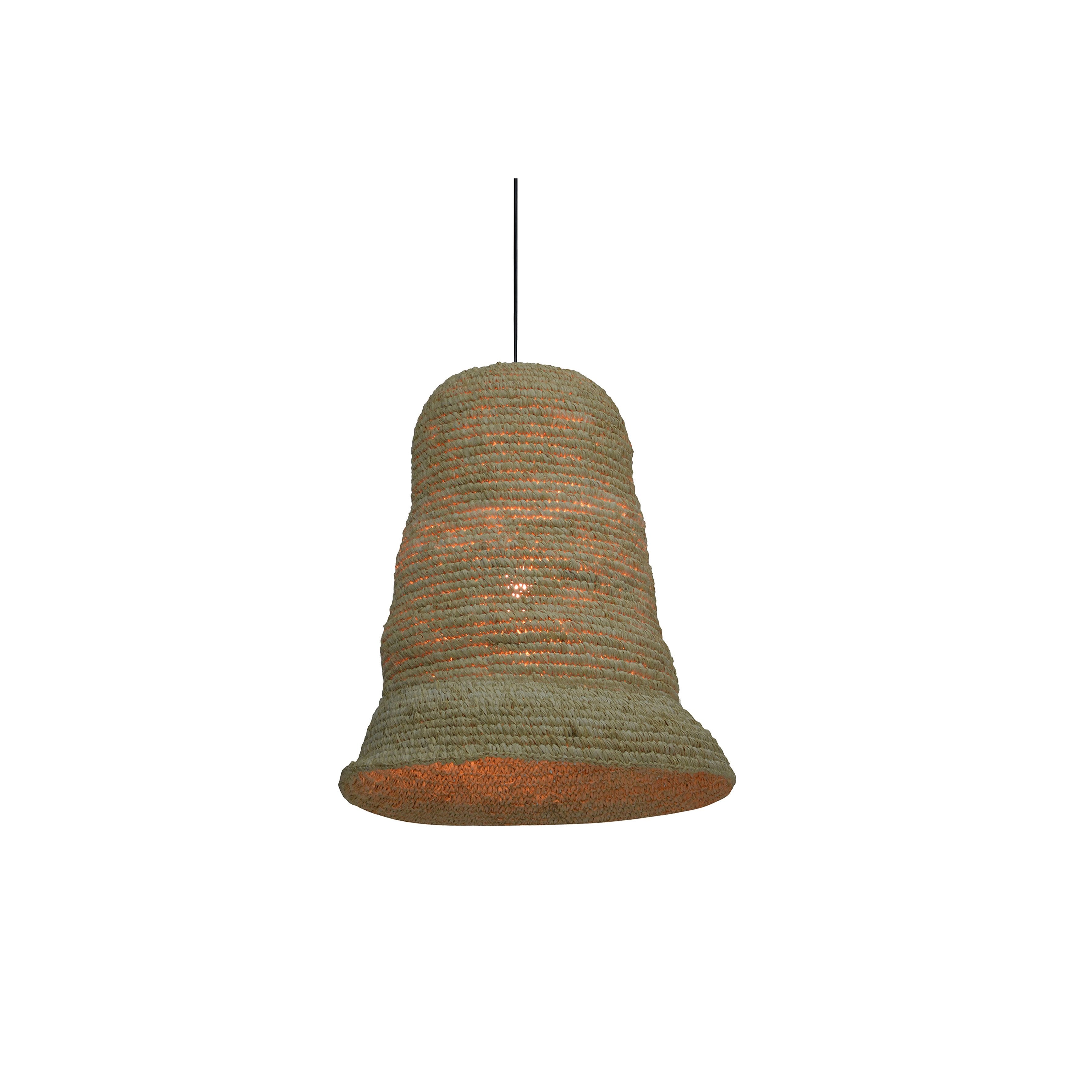 Goldeen Pendant Light - What A Room