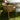 Keith Outdoor Dining Chair Set of 2 - What A Room
