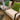 Francis Fabric Accent Arm Chair - What A Room