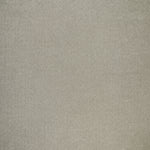 Echo Pumice - What A Room