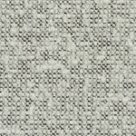 Indus Pumice