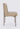 Dion Upholstered Dining Chair in Camel Synthetic Leather and Brushed Nickel Metal (Set of 2) - What A Room