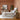 Zully Bed - What A Room