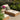 Darlene Outdoor Chaise - What A Room